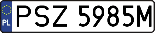 PSZ5985M