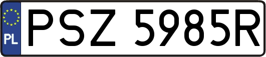 PSZ5985R