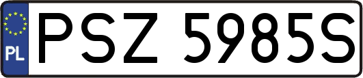 PSZ5985S
