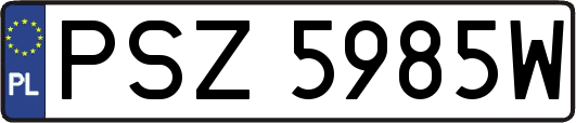 PSZ5985W