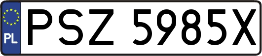PSZ5985X