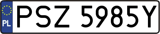 PSZ5985Y