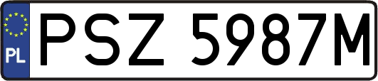 PSZ5987M