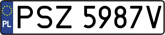 PSZ5987V