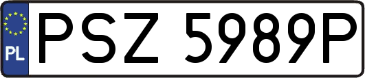 PSZ5989P