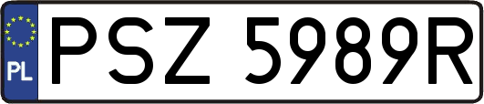 PSZ5989R