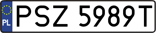 PSZ5989T
