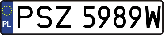 PSZ5989W