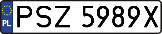 PSZ5989X