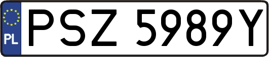 PSZ5989Y