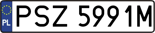 PSZ5991M