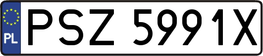PSZ5991X