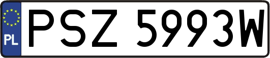 PSZ5993W