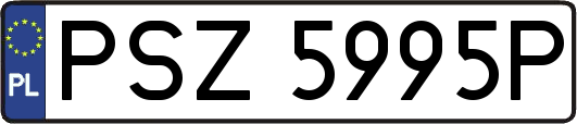 PSZ5995P