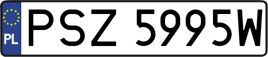 PSZ5995W