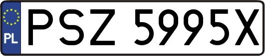 PSZ5995X