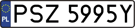 PSZ5995Y