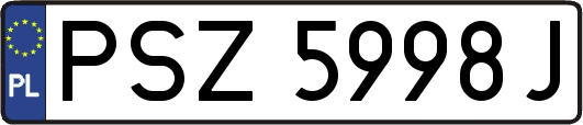 PSZ5998J