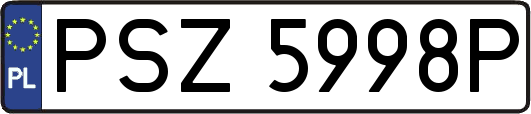 PSZ5998P