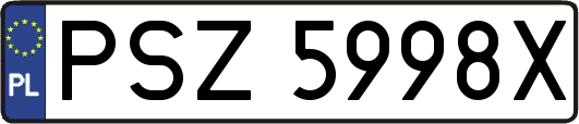 PSZ5998X