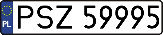 PSZ59995
