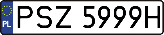 PSZ5999H