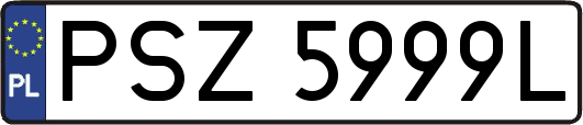 PSZ5999L