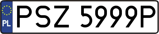 PSZ5999P