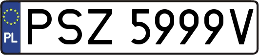 PSZ5999V