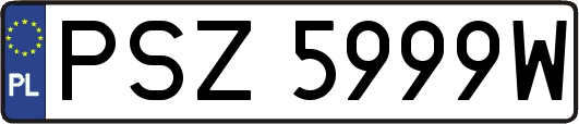 PSZ5999W