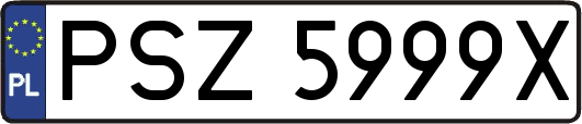 PSZ5999X