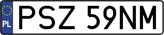 PSZ59NM