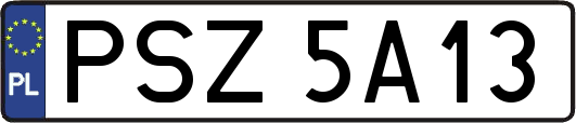 PSZ5A13