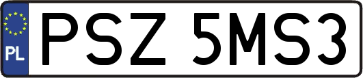 PSZ5MS3