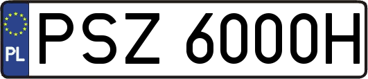 PSZ6000H