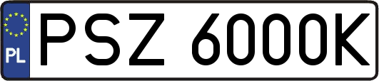PSZ6000K