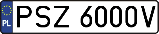 PSZ6000V