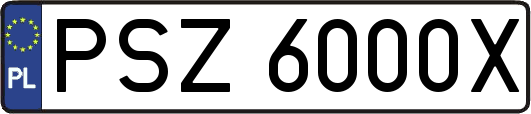 PSZ6000X