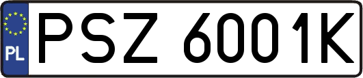 PSZ6001K
