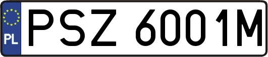 PSZ6001M