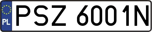 PSZ6001N