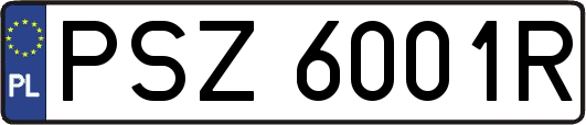 PSZ6001R