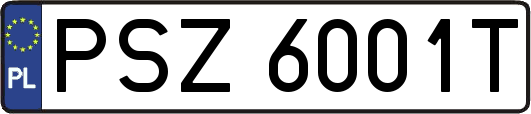 PSZ6001T