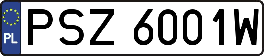 PSZ6001W