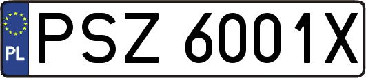 PSZ6001X