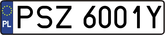 PSZ6001Y
