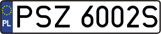 PSZ6002S