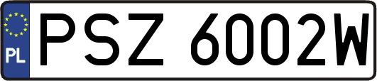 PSZ6002W