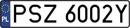 PSZ6002Y