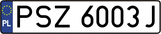 PSZ6003J